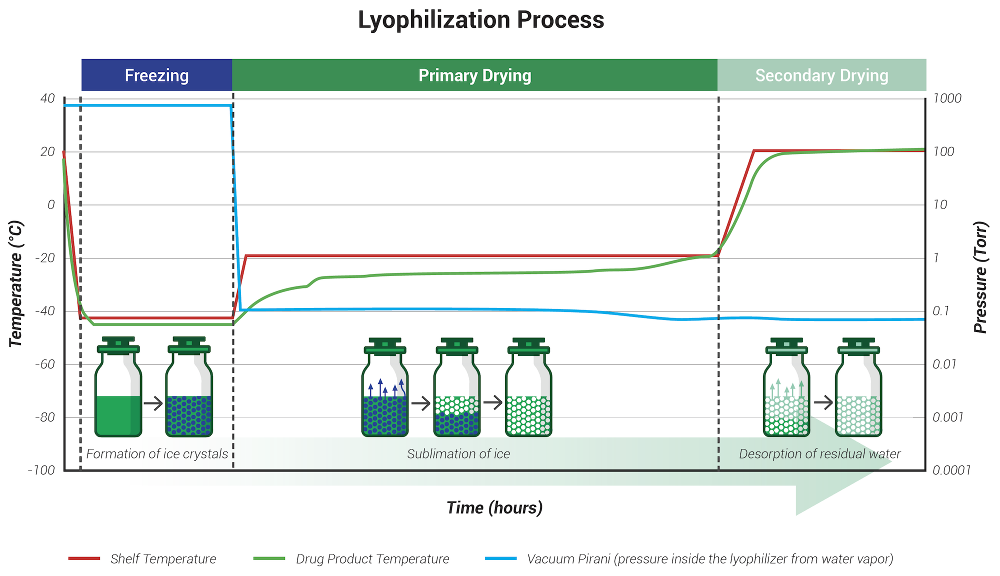 What’s Involved in Designing Effective Lyophilization Cycles? | Sharp ...